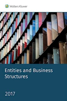 Entities and Business Structures
