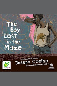 The Boy Lost In The Maze
