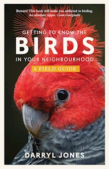 Getting to Know the Birds in Your Neighbourhood