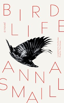 Bird Life: a novel
