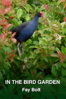 In the Bird Garden