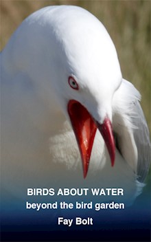 Birds about Water: Beyond the Bird Garden