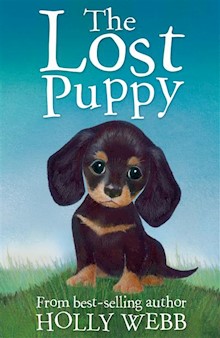 The Lost Puppy
