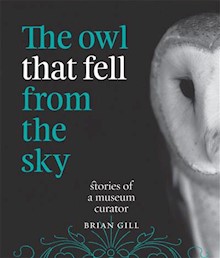 The Owl That Fell from the Sky: Stories of a Museum Curator