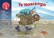 Te Haerenga (The Journey)